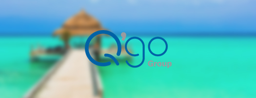 Q’go Group